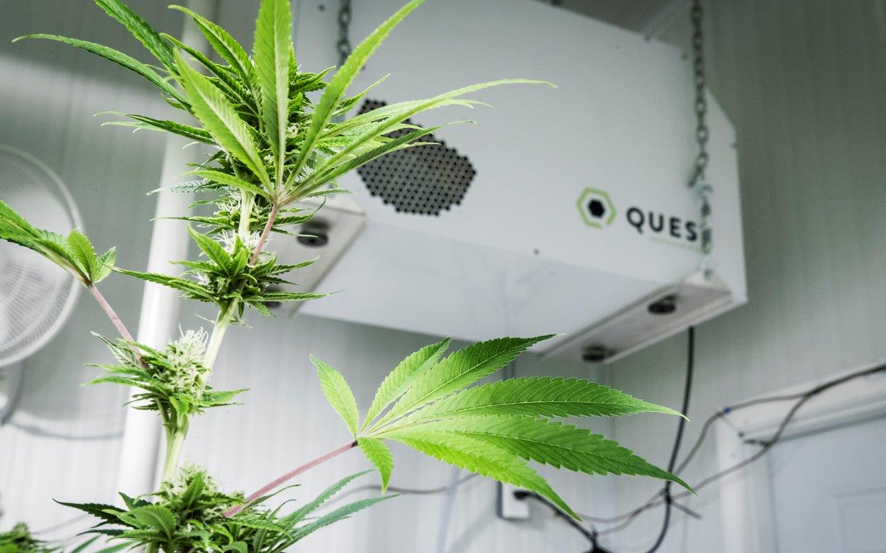 A Quest dehumidifier is seen at a cannabis growing facility Thursday, Nov. 9, 2017 in Portland, Maine.